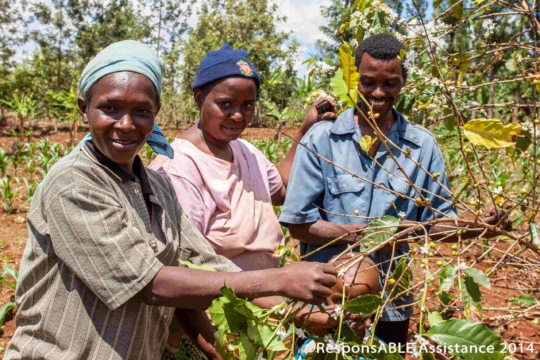 The difference water can make was graphically illustrated by the Kenera Water Project, near Embu, which has brought a much better standard of living to one particular village as crops can now be planted, which in turn, creates a better standard of living. Three workers pick coffee beans