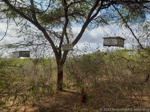 Hanging beehives of a Fursa group member