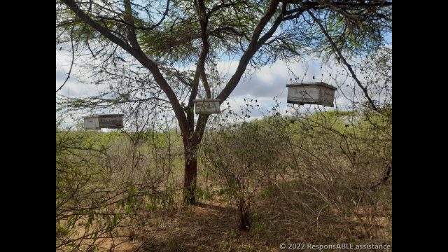 Hanging beehives of a Fursa group member
