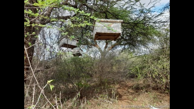Hanging beehives of a Fursa group member