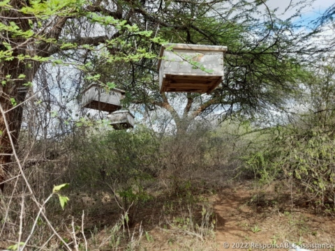 Hanging beehives of a Fursa group member