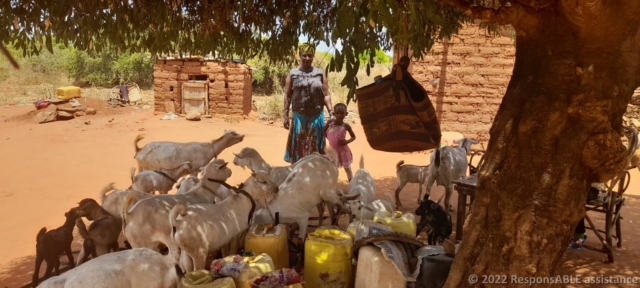 Lena, a member of the Kyanginywa Fursa group in her business. She rears goats for sale.