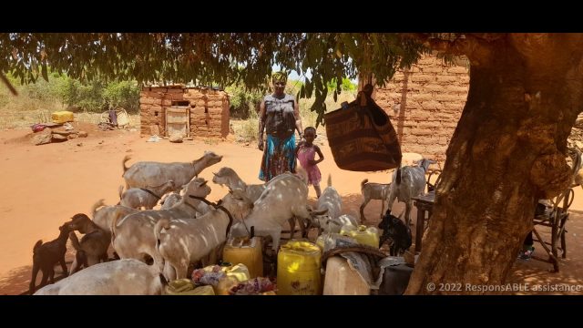 Lena, a member of the Kyanginywa Fursa group in her business. She rears goats for sale.
