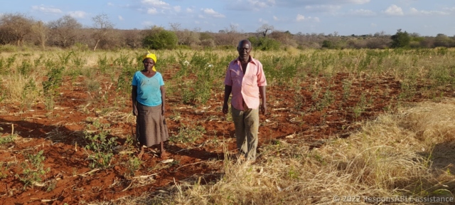 The secretary of the Kyanginywa Fursa group in their farm. Behind is a plantation of pigeon peas.