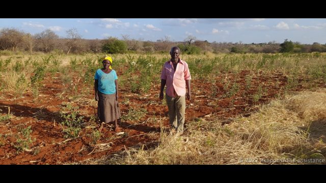 The secretary of the Kyanginywa Fursa group in their farm. Behind is a plantation of pigeon peas.