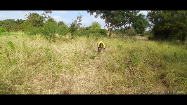 The treasurer of the Kyanginywa Fursa group. She farms cow feed grass as a business.