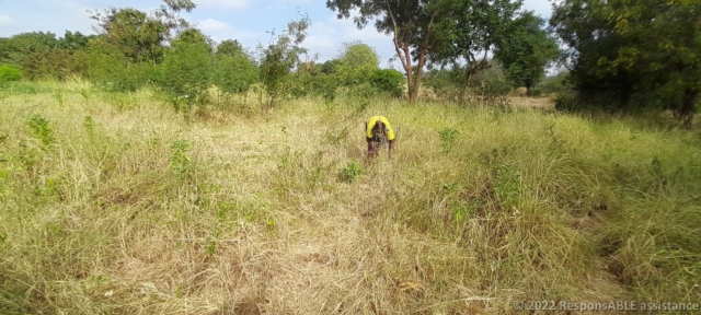 The treasurer of the Kyanginywa Fursa group. She farms cow feed grass as a business.