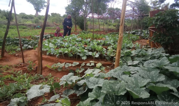 Francis in Nzembis vegetable garden. It is important that Fursa initiave leaders become role models.