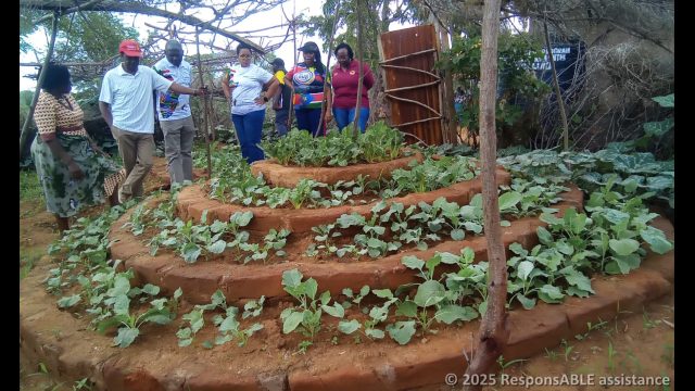 The Kitengela Rotary Club members visiting Nzembi's vegetable garden.